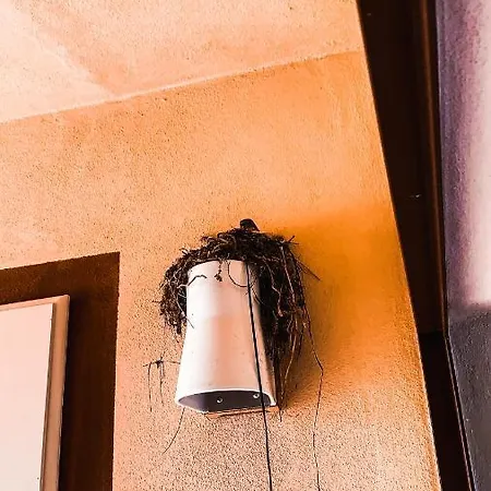 Casa vacanze La Mandorla Salata *
